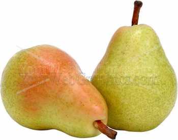 photo - pears-jpg